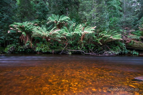 Mt Field And Styx Valley Photography Tour - Accommodation Adelaide 4