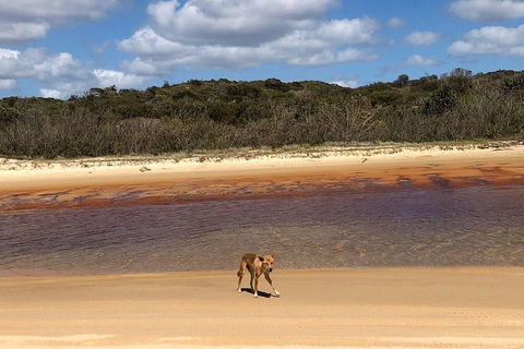 Pippies 3 Days 2 Nights Fraser Island Tour - Accommodation Adelaide 2