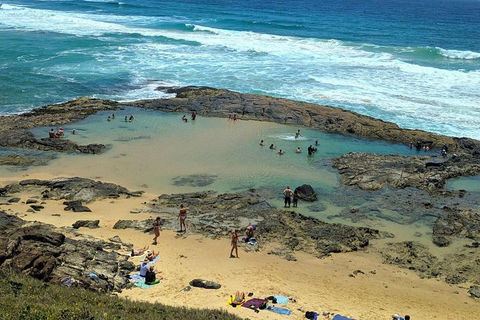 Pippies 3 Days 2 Nights Fraser Island Tour - Accommodation Adelaide 5