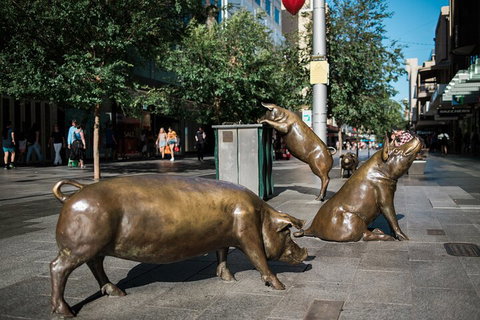 Guided Walking Tour In Adelaide - Accommodation Adelaide 4