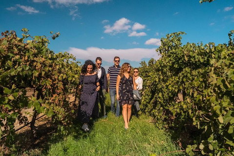 Barossa Valley Private Tour (from 2 To 11 People) - Accommodation Adelaide 0