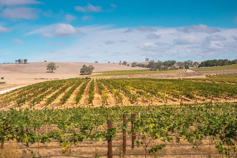 Barossa Valley Private Tour (from 2 To 11 People) - Accommodation Adelaide 2