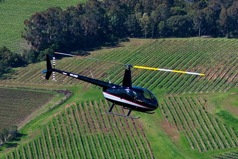 Hunter Valley Wine Country Helicopter Flight From Cessnock - Accommodation Adelaide 3