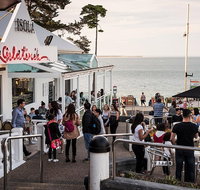 Phillip Island and French Island Wildlife Expedition - Accommodation Adelaide