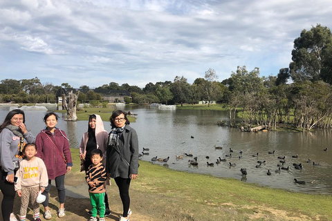 Phillip Island Penguins Private Tour - Accommodation Adelaide 1