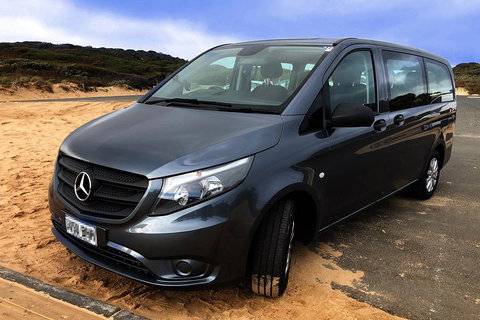 Phillip Island Penguins Private Tour - Accommodation Adelaide 5