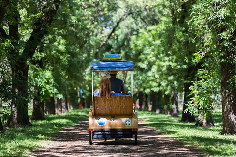 Adelaide 90-Minute Pedicab Tour: Scenic Green & River Experience - Accommodation Adelaide 2
