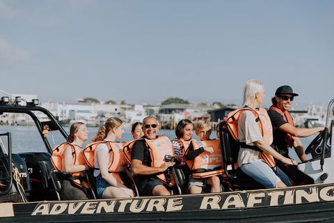 Adventure Whale Watching Tour Mooloolaba - Accommodation Adelaide 4