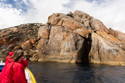 Wilsons Promontory Wilderness Cruise From Tidal River - Accommodation Adelaide 3