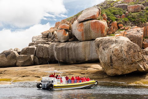 Wilsons Promontory Wilderness Cruise From Tidal River - Accommodation Adelaide 4