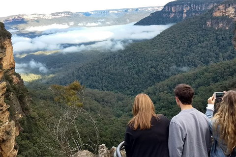 Blue Mountains Private Tour - Wild Kangaroos, Waterfalls And The Three Sisters - Accommodation Adelaide 3