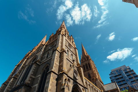 Highlights & Hidden Gems With Locals: Best Of Melbourne Private Tour - Accommodation Adelaide 4