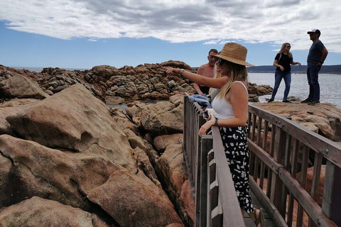 Margaret River Impression Day Tour From Perth - Accommodation Adelaide 4