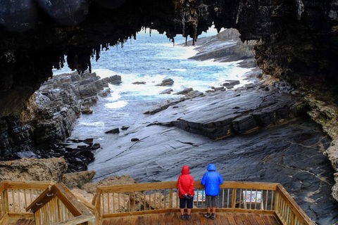 Full-Day Kangaroo Island Safari From Penneshaw - Accommodation Adelaide 1