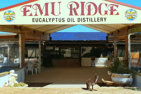 Full-Day Kangaroo Island Safari From Penneshaw - Accommodation Adelaide 2