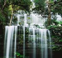 Mt Field National Park and Russell Falls from Hobart - Accommodation Adelaide