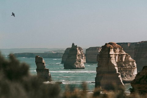 Half-Day Or Full-Day Tour With Private Guide From Melbourne - Accommodation Adelaide 0