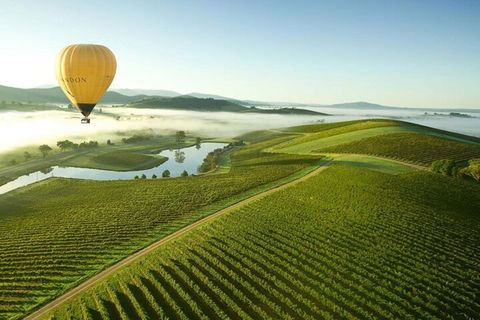 Half-Day Or Full-Day Tour With Private Guide From Melbourne - Accommodation Adelaide 4