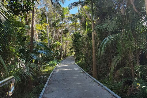 Half Day Guided Small Group Walk - Accommodation Adelaide 3
