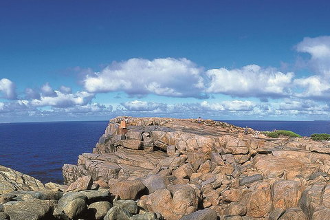 4 Day Tour: Albany, Margaret River, Valley Of The Giants TreeTop Walk From Perth - Accommodation Adelaide 0