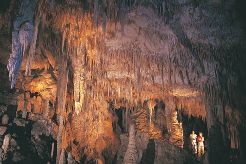4 Day Tour: Albany, Margaret River, Valley Of The Giants TreeTop Walk From Perth - Accommodation Adelaide 1