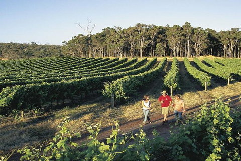 2-Day Margaret River Wine Experience From Perth - Accommodation Adelaide 3