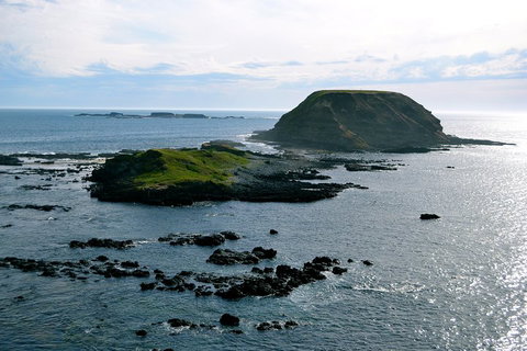 Puffing Billy, Wildlife Sanctuary & Penguins Day Tour From Melbourne - Accommodation Adelaide 1