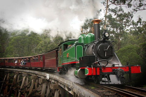Puffing Billy, Wildlife Sanctuary & Penguins Day Tour From Melbourne - Accommodation Adelaide 5