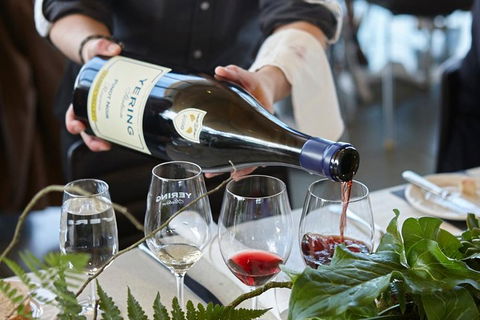 Yarra Valley Gourmet Small-Group Ecotour From Melbourne - Accommodation Adelaide 3
