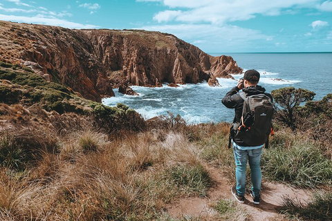 Private Phillip Island & Penguin Parade Hiking Tour From Melbourne - Accommodation Adelaide 5