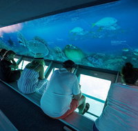 Great Barrier Reef Day Cruise to Reefworld - Accommodation Adelaide