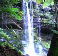 Mt Field National Park and Russell Falls from Hobart - Accommodation Adelaide