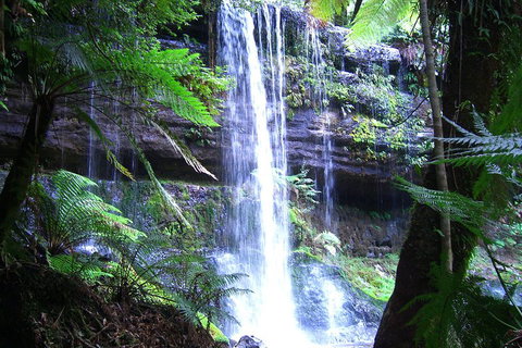 Mt Field National Park And Russell Falls From Hobart - Accommodation Adelaide 0