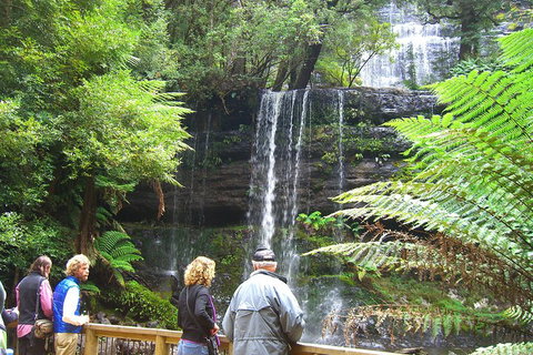 Mt Field National Park And Russell Falls From Hobart - Accommodation Adelaide 1