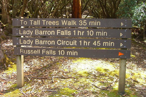 Mt Field National Park And Russell Falls From Hobart - Accommodation Adelaide 2