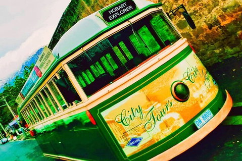 Hobart Half-Day Sightseeing Coach Tram Tour - Accommodation Adelaide 5