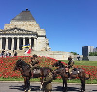 Private Half Day Melbourne City Tour with Local guide - Accommodation Adelaide