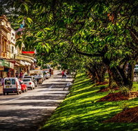 Fully Inclusive Blue Mountains Private Tour inc Scenic World  Featherdale entry - Accommodation Adelaide