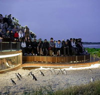 2-Day Great Ocean Road Mornington Peninsula and Phillip Island Tour - Accommodation Adelaide