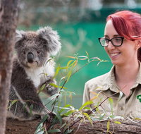 Small-Group Phillip Island Penguin Parade Day Tour from Melbourne - Accommodation Adelaide