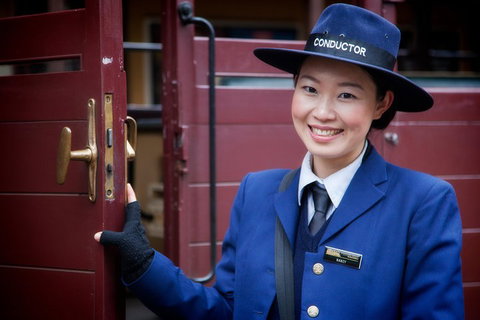 Puffing Billy, Moonlit Sanctuary & Penguins Day Tour - Accommodation Adelaide 1