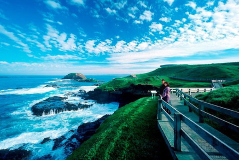 Puffing Billy, Moonlit Sanctuary & Penguins Day Tour - Accommodation Adelaide 2