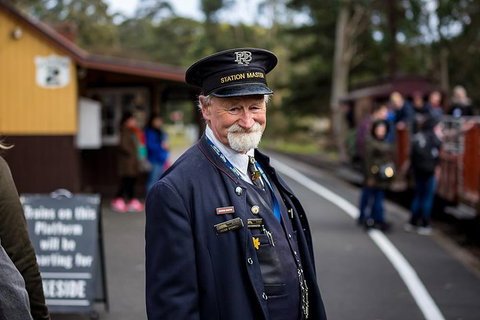 Puffing Billy, Moonlit Sanctuary & Penguins Day Tour - Accommodation Adelaide 3