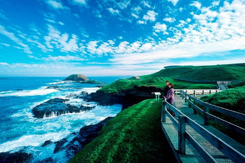 Melbourne Combo: Great Ocean Road + Phillip Island Express + Attraction Pass - Accommodation Adelaide 1