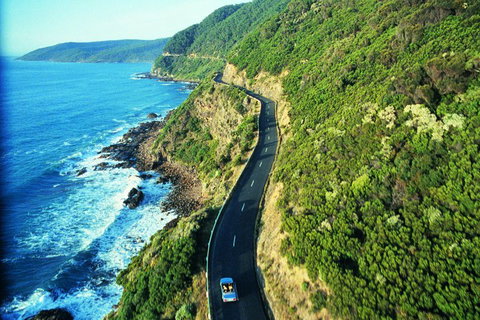 Melbourne Combo: Great Ocean Road + Phillip Island Express + Attraction Pass - Accommodation Adelaide 4