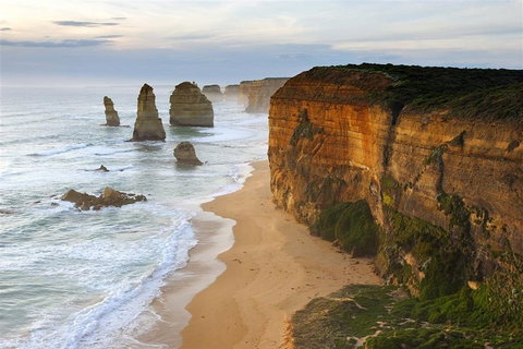 Melbourne Combo: Great Ocean Road + Phillip Island Express + Attraction Pass - Accommodation Adelaide 5
