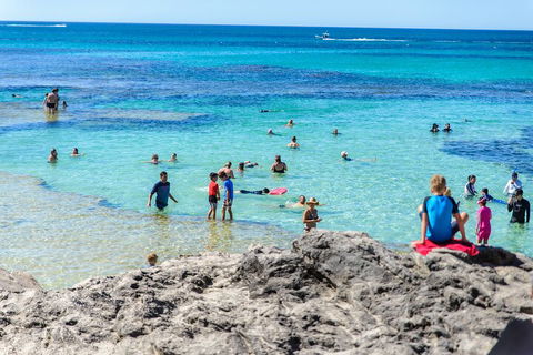 Rottnest Island Roundtrip Fast Ferry From Hillarys Boat Harbour - Accommodation Adelaide 1