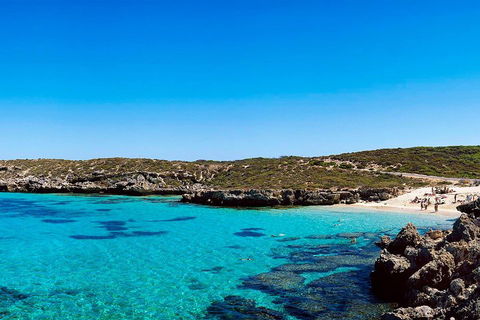 Rottnest Island Roundtrip Fast Ferry From Hillarys Boat Harbour - Accommodation Adelaide 4