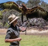 One Day Kangaroo Island Sip  See tour with return ferry transfers from Adelaide
