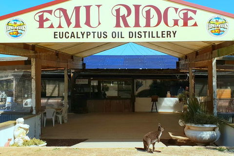 2 Day Ultimate Kangaroo Island With Return Ferry - Accommodation Adelaide 3